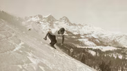Mammoth Dreams