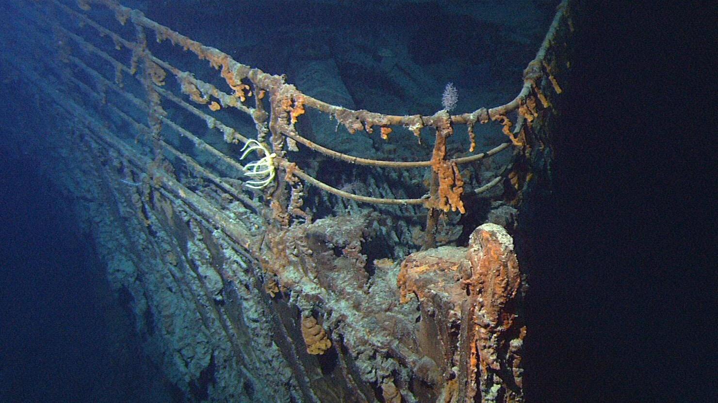 Pictures From Inside Titanic Submarine Have Left People Terrified - 22  Words Pictures From Inside Titanic Submarine Have Left People Terrified