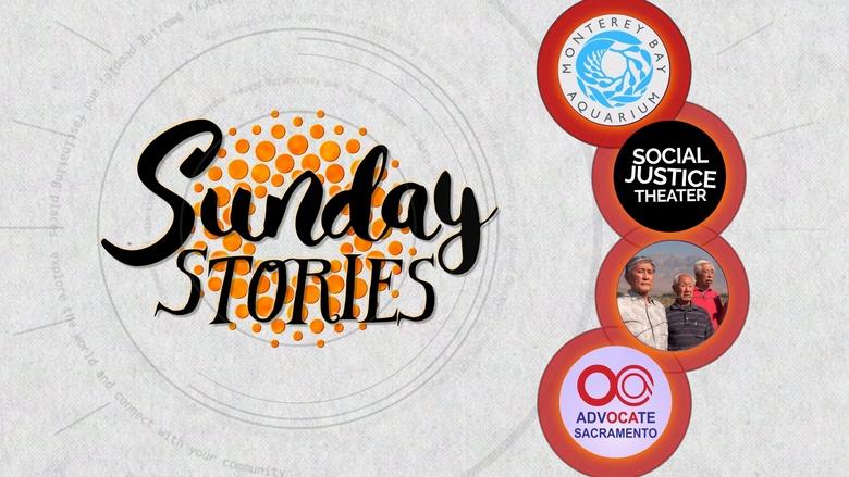 Sunday Stories Image