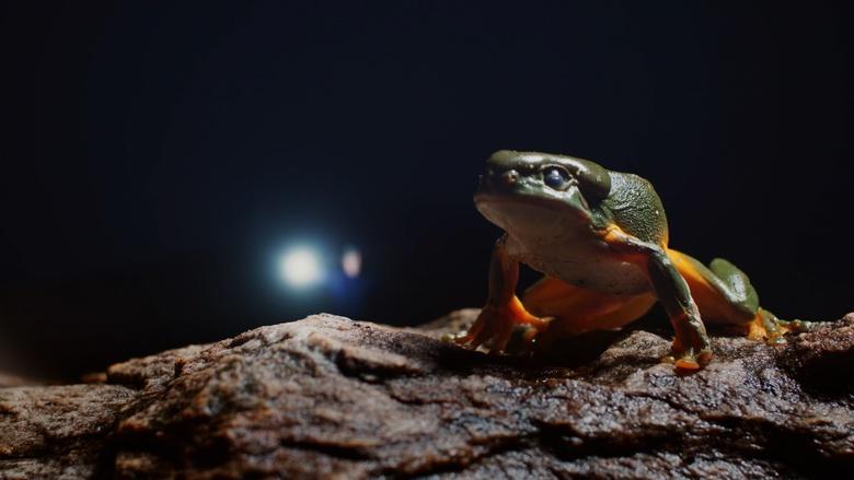 The Kimberley: Australia’s Wild West Image