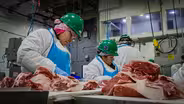 Voters to decide fate of Denver's only slaughterhouse
