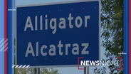 Deportations Begin From Alligator Alcatraz | Preview