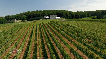 Video thumbnail: Un-Wine'd Delaplane Cellars