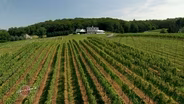 Delaplane Cellars