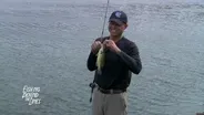 Preview - Fobare's Lake/Justin Walts
