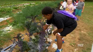 Bowling Green Students Visit Scottsville Farm
