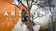 Sustainability, Resilience & Creativity