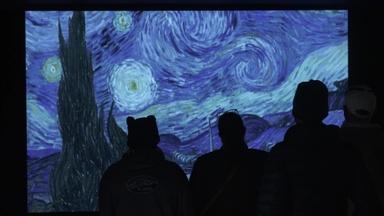 Immersive Van Gogh exhibits paint new experiences with art