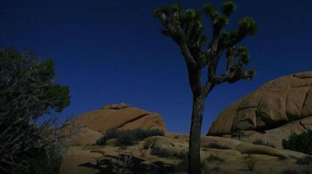 Video thumbnail: Catalyst Wildlife Maps & Melodies
