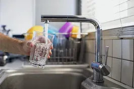 What toxic ‘forever chemicals’ are and how to avoid them