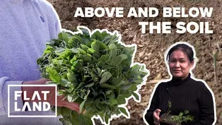 Growing Roots in the KC Food System