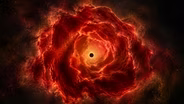 JWST May Have Discovered a New Cosmic Object: The Black Hole Star