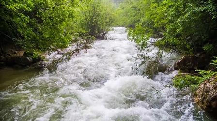 Video thumbnail: Short Takes Creating Conservation Contributors: The Lehman Sanctuary