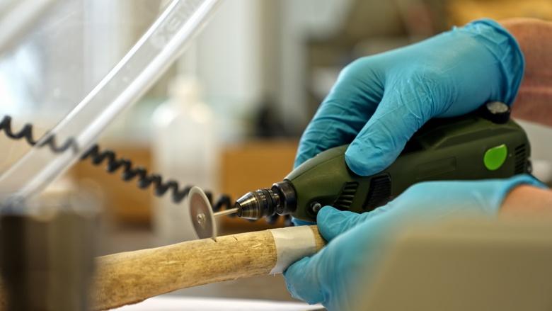 Secrets of the Dead Image