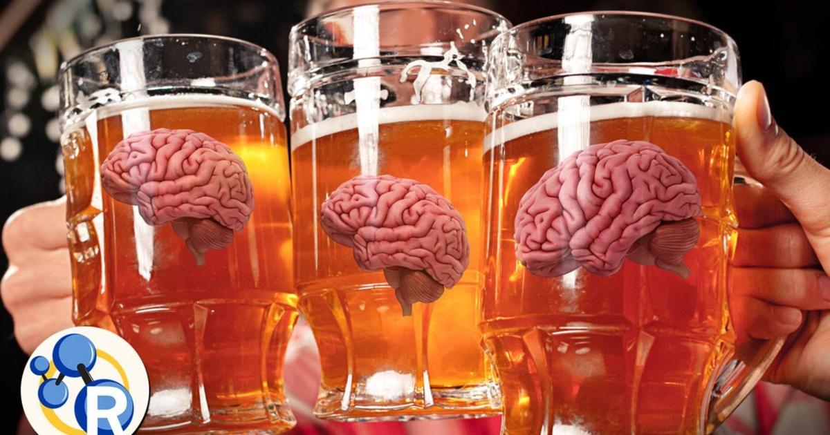 Reactions How Does Alcohol Get You Drunk? Season 3 PBS