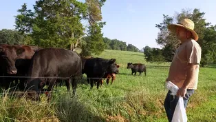 Farmer shares his mental health struggles