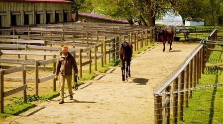 Video thumbnail: Southern Oregon Responds Equamore Foundation