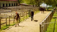 Equamore Foundation
