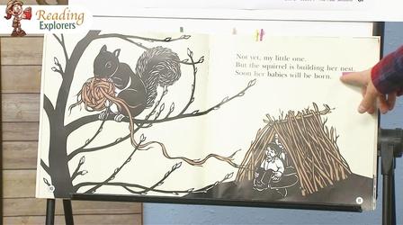 Video thumbnail: Reading Explorers K-305: Changing Seasons and Mama, Is It Summer Yet?