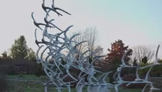 49 Doves: The Flight 5191 Disaster