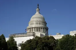 Senators make bipartisan breakthrough on gun reform