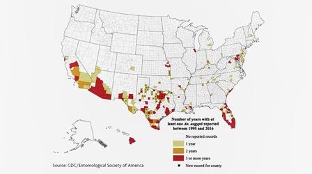 Video thumbnail: Headline Vaccines | Zika Virus and Pregnancy