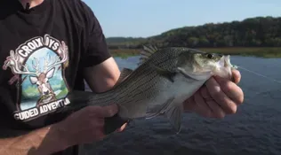 Hooked on the St. Croix