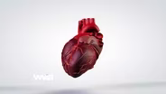 Getting to the Heart: Cardiovascular Disease - Preview
