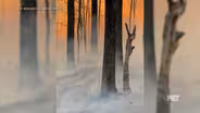 KY Wildfire Update (11/14/23)