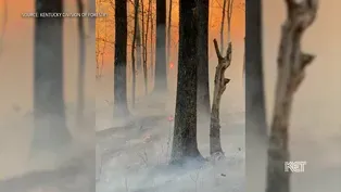 KY Wildfire Update (11/14/23)