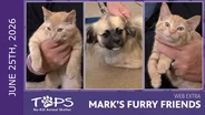 6/25/2026 | Woody, Bo Peep and Remi | Mark's Furry Friends Extra