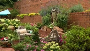 Volunteer Gardener 3416