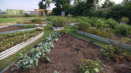 Video thumbnail: Volunteer Gardener Volunteer Gardener 3010