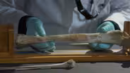 Identifying Lost Crew with Forensics and DNA Analysis