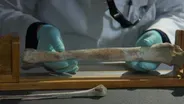 Identifying Lost Crew with Forensics and DNA Analysis