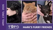 4/23/2026 | Frankie, Roomba and Rosalita | Mark's Furry Friends
