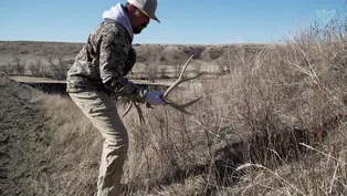 Rack City: Hunting Antler Sheds with the Pros