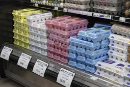 What's causing the price of eggs to skyrocket nationwide