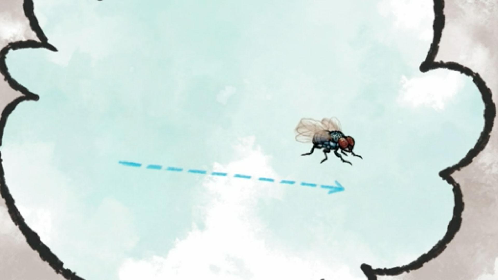 That's So Interesting!: Can a Fly Get Dizzy?