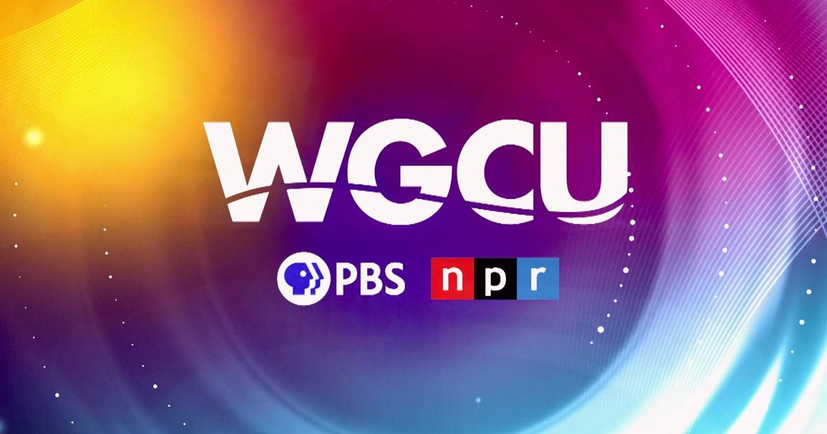 WGCU Local Productions | WGCU 2024 Sizzle Reel | PBS