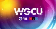 WGCU 2024 Sizzle Reel