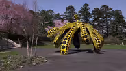 ‘Kusama: Cosmic Nature’ spans 70 years of the artist’s work