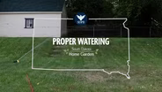 South Dakota Home Garden: Proper Waterin