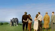 Behind the Scenes of the Foal's Birth