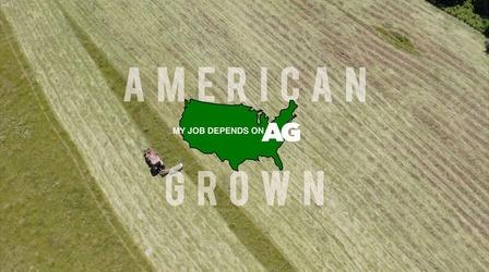 Video thumbnail: American Grown: My Job Depends on Ag American Grown: My Job Depends on Ag | Agversity