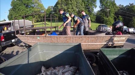 Video thumbnail: Kentucky Afield Asian Carp; Deer Hunting Season