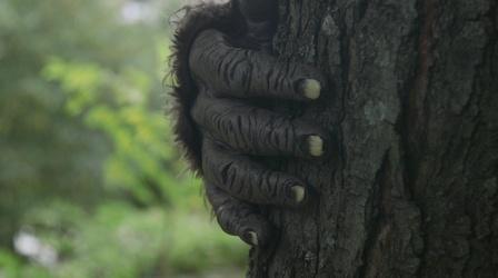 Video thumbnail: Tennessee Life Tennessee Life - 703- Things That Go Bump in the Night