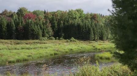 Video thumbnail: New York NOW A Push for More Forest Rangers