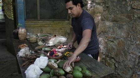 Video thumbnail: Craft in America Enrique Ramirez Castellanos on the plants used to make paper