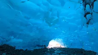 Exploring Mendenhall Glacier
